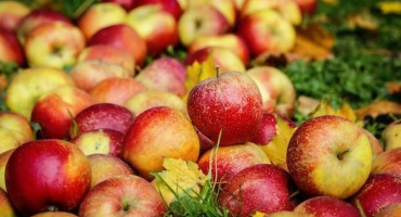 20 Receptů na výrobu jablečného džemu na zimu doma